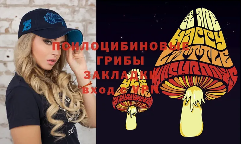 сколько стоит  Гаврилов Посад  Галлюциногенные грибы Psilocybe 